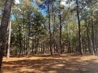751 Red Hollow, Leggett, TX 77350