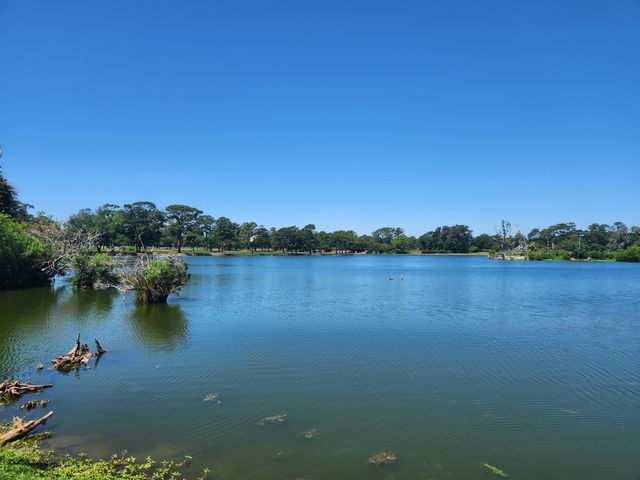 501 Maison Dr Apt A15, Myrtle Beach, SC 29572
