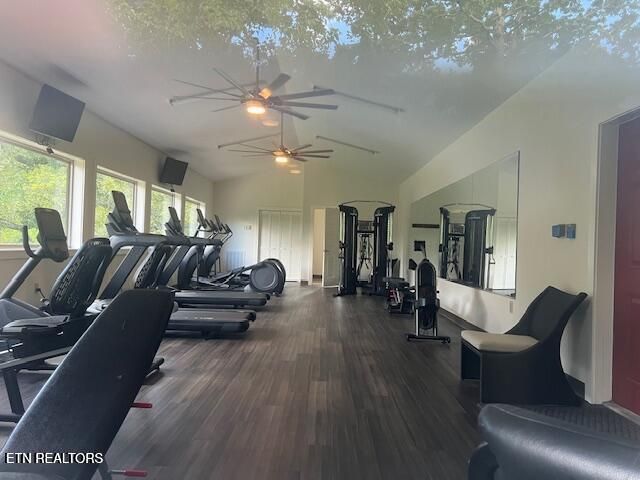 405 Laurel Trace Rd, Townsend, TN 37882