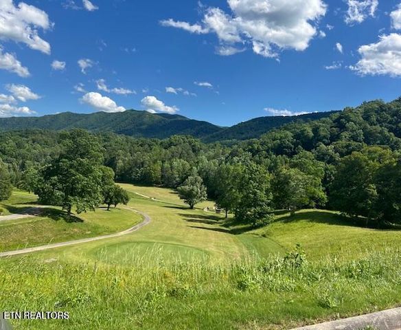 405 Laurel Trace Rd, Townsend, TN 37882