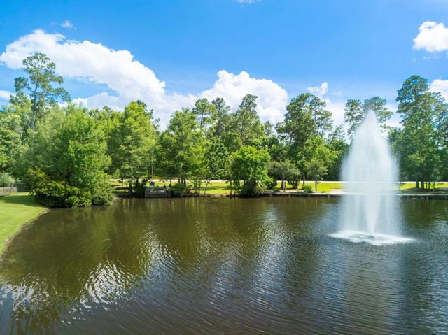 3 Pendleton Park Point, The Woodlands, TX 77382