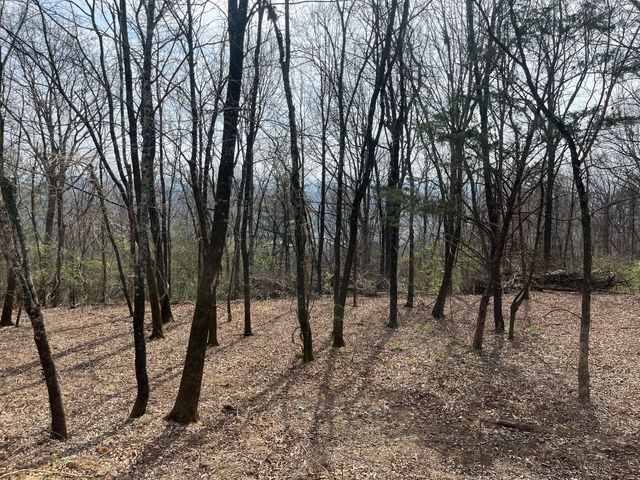 1422 Sunset Drive, Signal Mountain, TN 37377