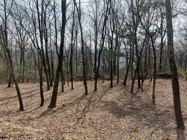 1422 Sunset Drive, Signal Mountain, TN 37377
