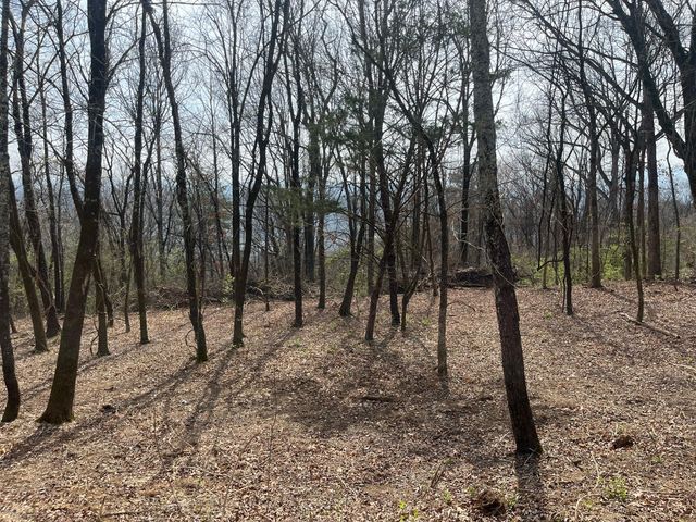 1422 Sunset Drive, Signal Mountain, TN 37377