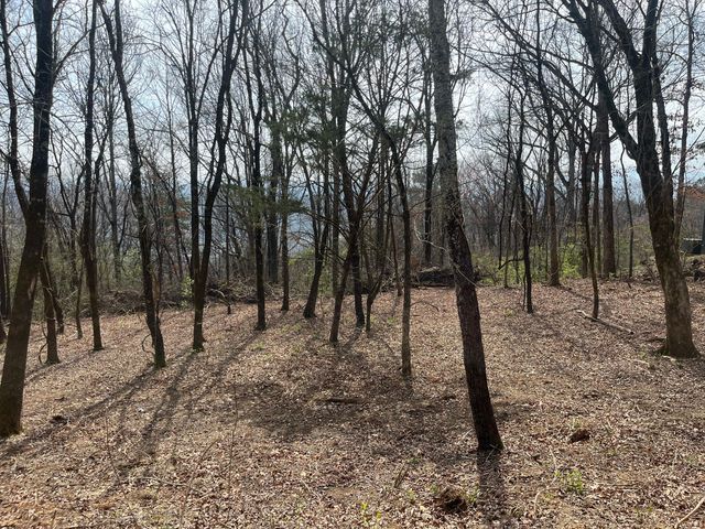 1422 Sunset Drive, Signal Mountain, TN 37377