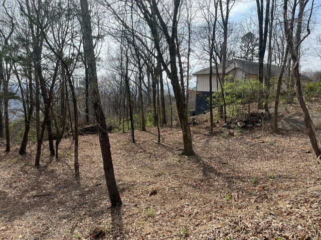 1422 Sunset Drive, Signal Mountain, TN 37377