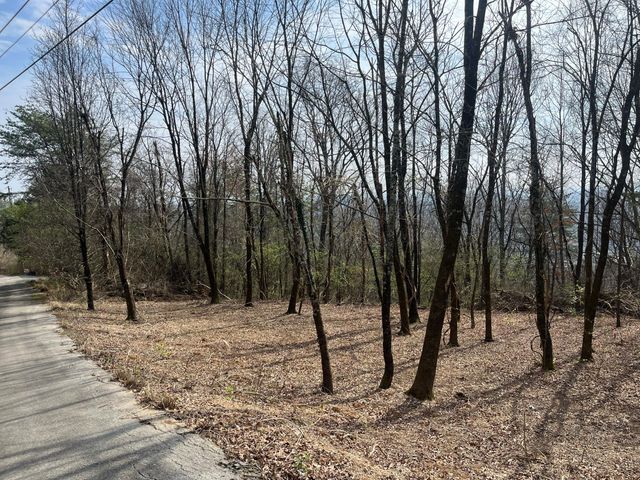 1422 Sunset Drive, Signal Mountain, TN 37377