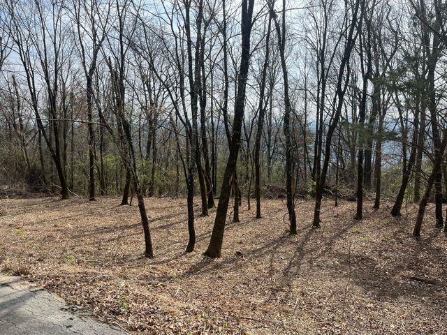 1422 Sunset Drive, Signal Mountain, TN 37377
