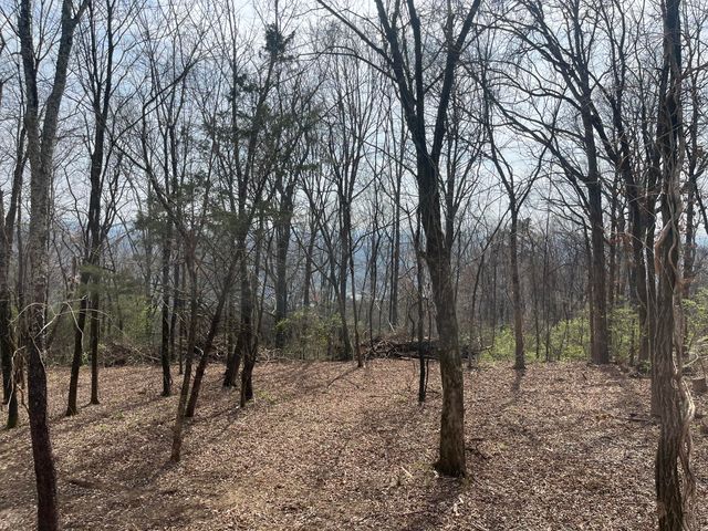 1422 Sunset Drive, Signal Mountain, TN 37377