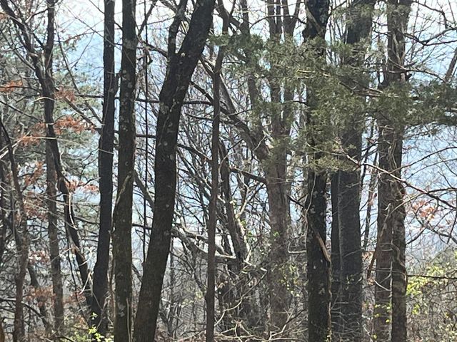 1422 Sunset Drive, Signal Mountain, TN 37377