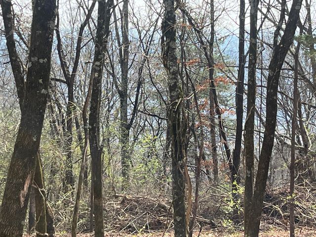 1422 Sunset Drive, Signal Mountain, TN 37377