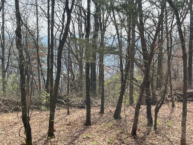 1422 Sunset Drive, Signal Mountain, TN 37377