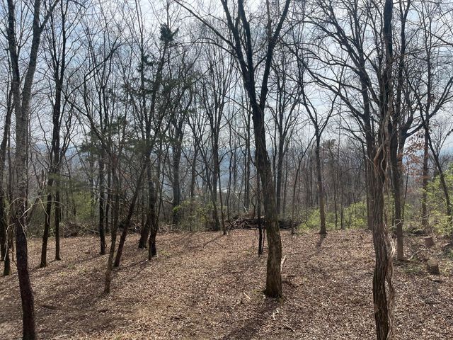 1422 Sunset Drive, Signal Mountain, TN 37377