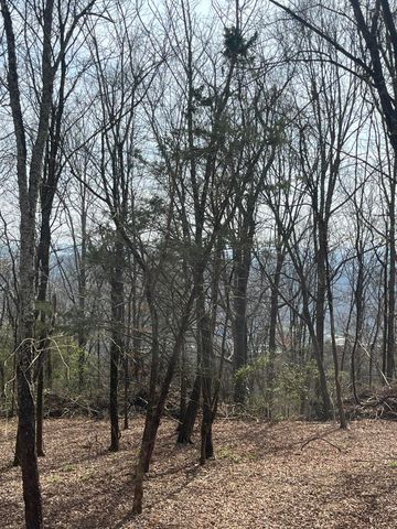 1422 Sunset Drive, Signal Mountain, TN 37377