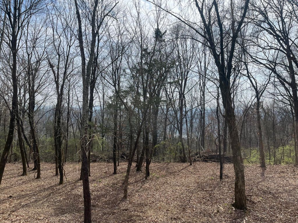 1422 Sunset Drive, Signal Mountain, TN 37377