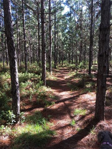 1069 SE 57TH AVENUE, Ocala, FL 34480