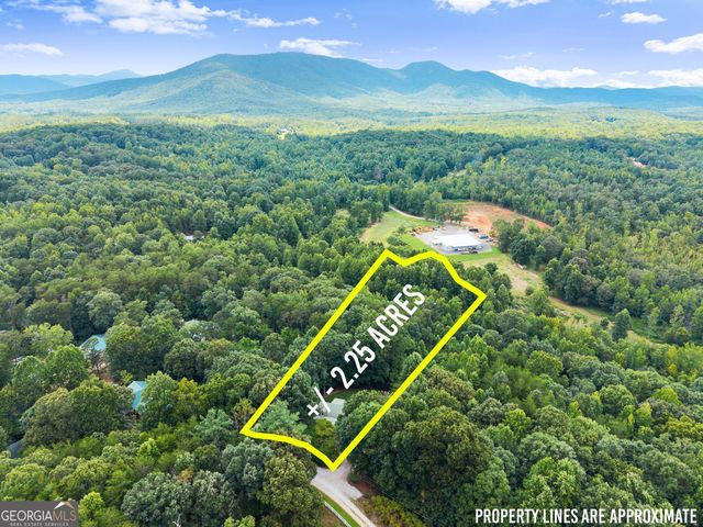 481 Leona Lane, Cleveland, GA 30528