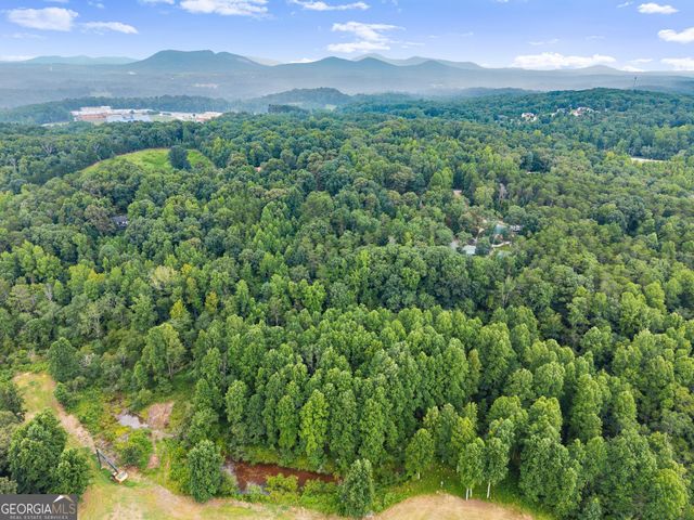 481 Leona Lane, Cleveland, GA 30528