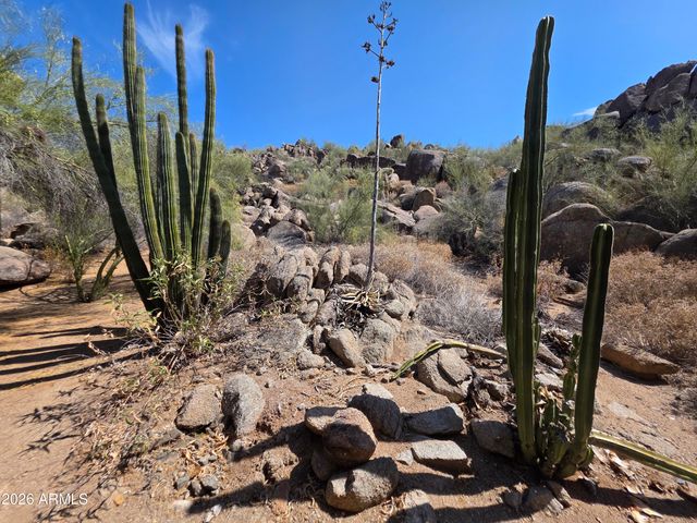 2233 E BEHREND Drive 51, Phoenix, AZ 85024