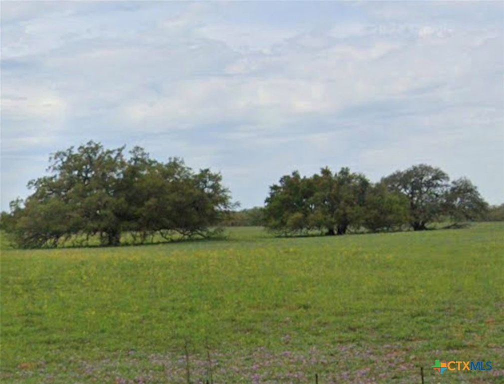 Image 11 of property listing at TBD State Highway 123 S, Stockdale, TX 78160
