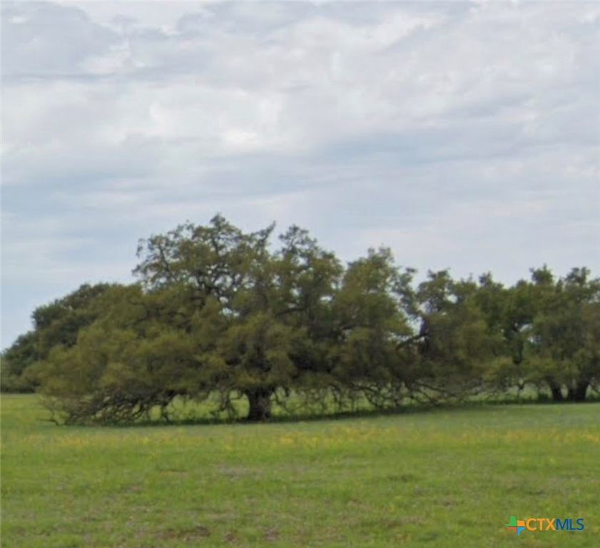 Image 2 of property listing at TBD State Highway 123 S, Stockdale, TX 78160