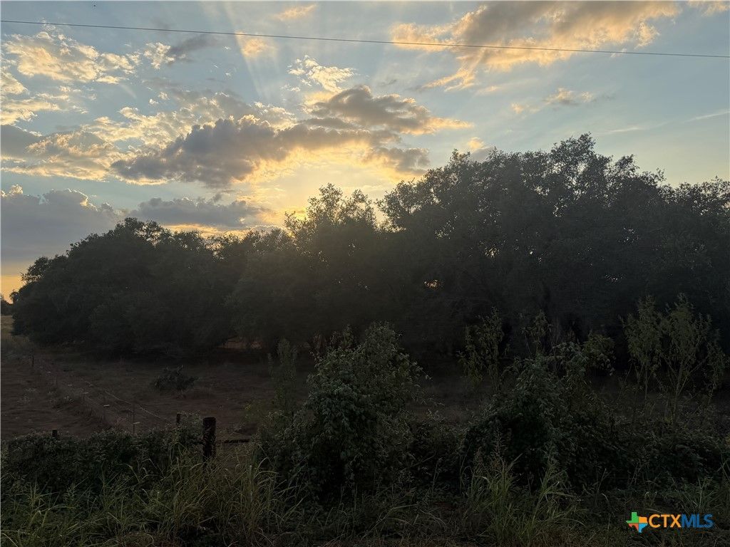 Image 7 of property listing at TBD State Highway 123 S, Stockdale, TX 78160