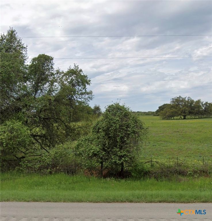 Image 8 of property listing at TBD State Highway 123 S, Stockdale, TX 78160
