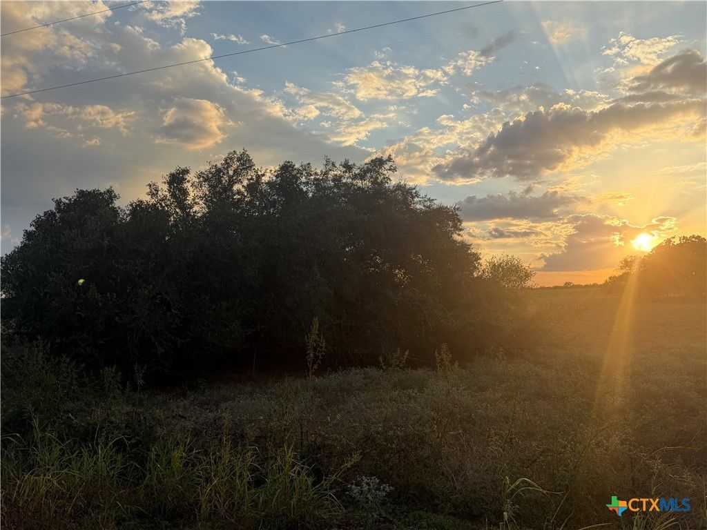 Image 9 of property listing at TBD State Highway 123 S, Stockdale, TX 78160