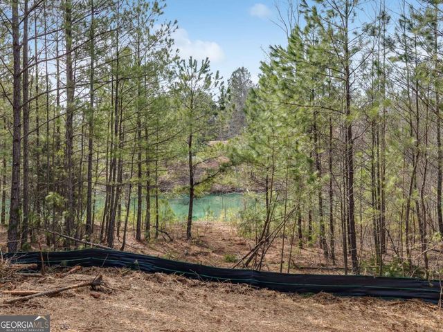 153 Clover Path, Dallas, GA 30132