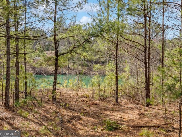 153 Clover Path, Dallas, GA 30132