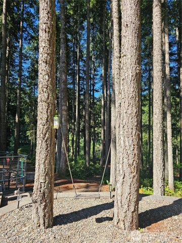 22204 Bluewater Court SE, Yelm, WA 98597
