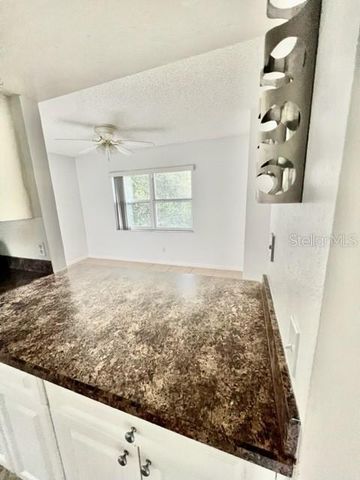 2432 SWAILES DRIVE 3, Orlando, FL 32837