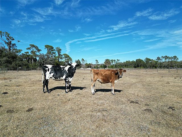 15260 SUGAR BOWL ROAD, Myakka City, FL 34251