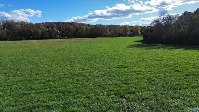 13.76 Acres Nance Road, Madison, AL 35757