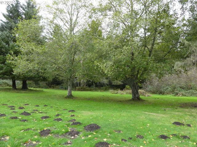 89255 Dellmoor Loop, Warrenton, OR 97146