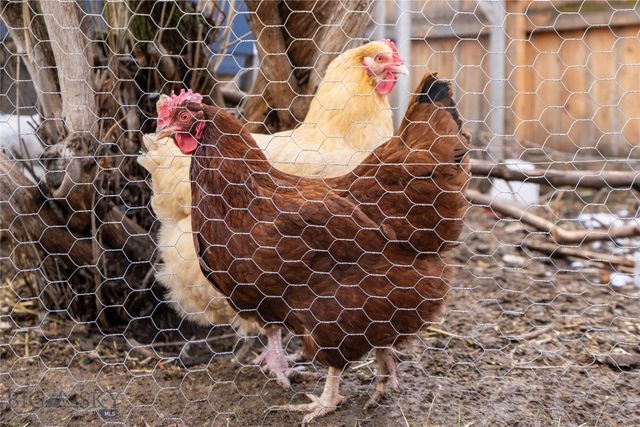 1014 W Dickerson Street, Bozeman, MT 59715