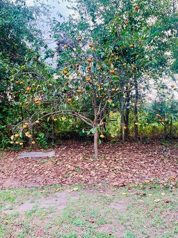 11731 North County Road 95, Columbia, AL 36319