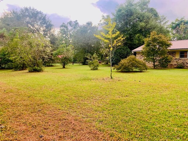 11731 North County Road 95, Columbia, AL 36319