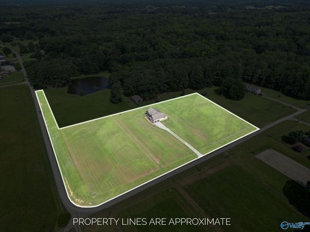 256 W D Harvey Road, Falkville, AL 35622