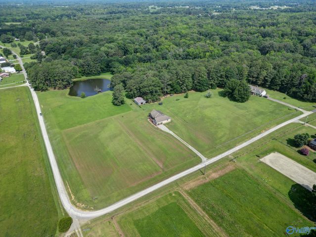 256 W D Harvey Road, Falkville, AL 35622