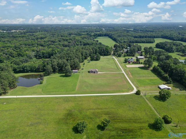 256 W D Harvey Road, Falkville, AL 35622