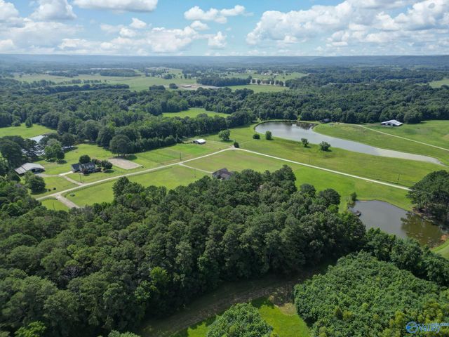 256 W D Harvey Road, Falkville, AL 35622