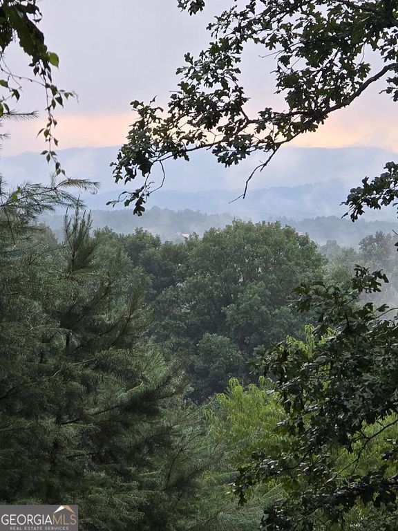 LOT 6 B and W Ranch Road, Blairsville, GA 30512