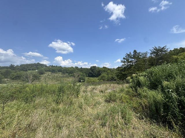 1145 Bell Rd, Watertown, TN 37184