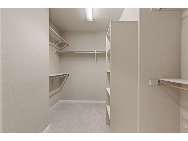 909 Burrowing Owl Dr, Fort Collins, CO 80525