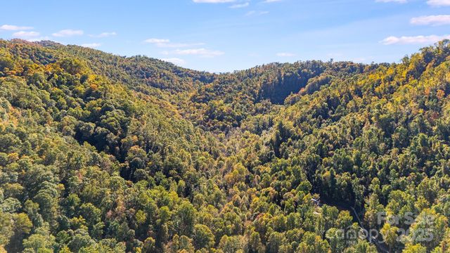 000 Hamburg Road 49, Mars Hill, NC 28754