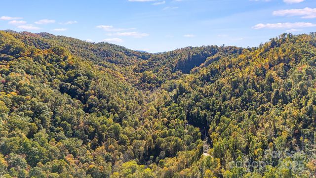 000 Hamburg Road 49, Mars Hill, NC 28754