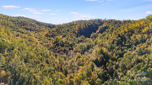 000 Hamburg Road 49, Mars Hill, NC 28754