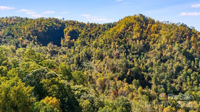 000 Hamburg Road 49, Mars Hill, NC 28754