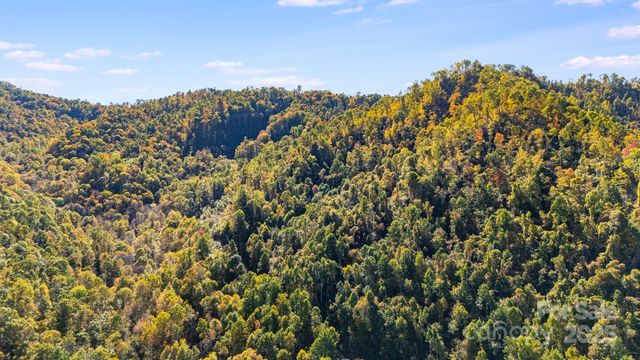 000 Hamburg Road 49, Mars Hill, NC 28754